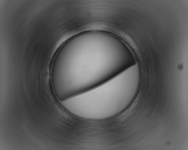 X0000101951226200807171126