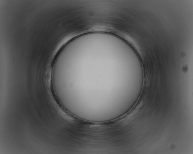 X0000101951227200807171126