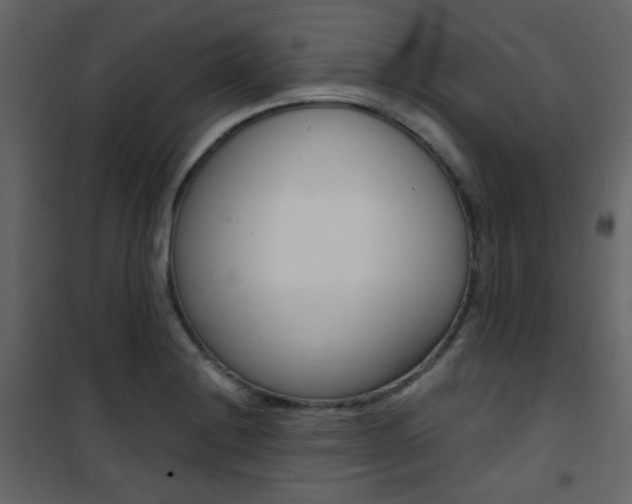 X0000101951228200807171126