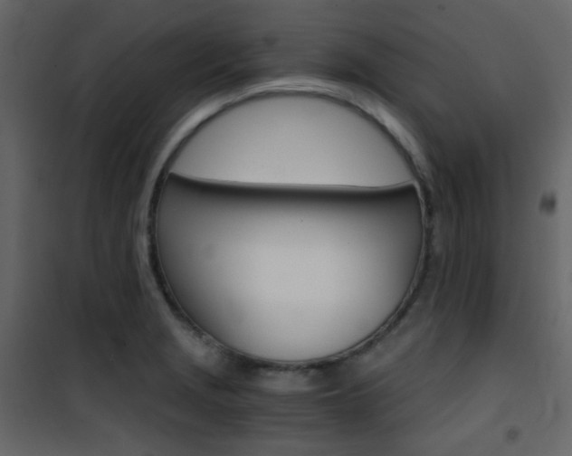 X0000101951229200807171126