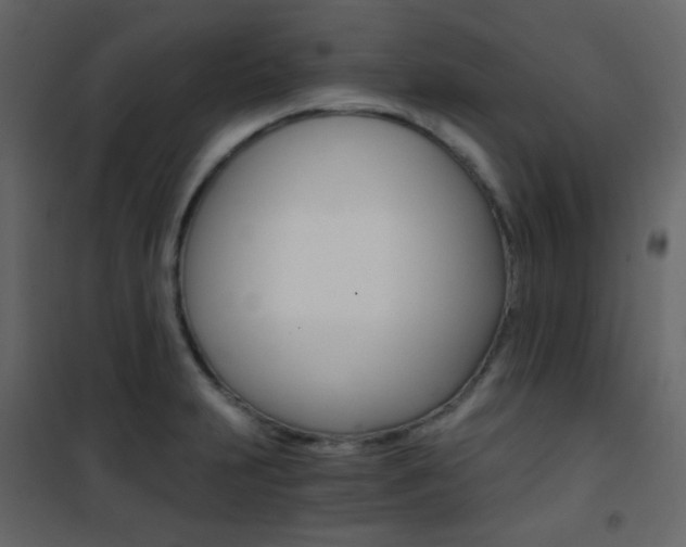 X0000101951231200807171126