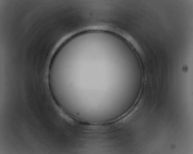 X0000101951232200807171126