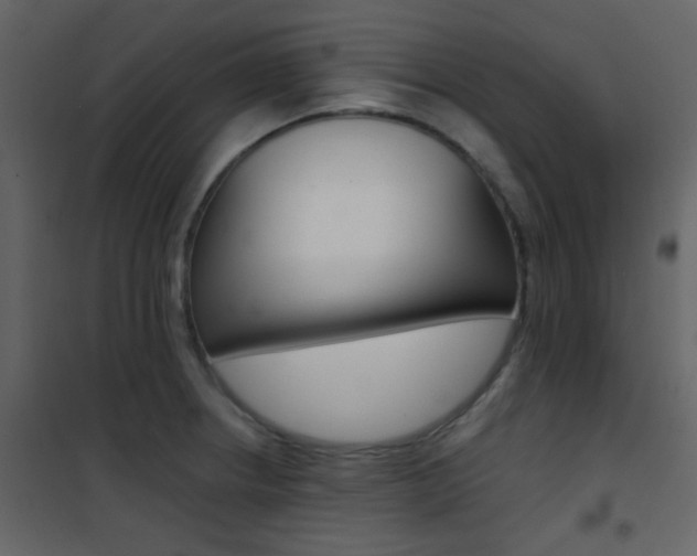 X0000101951234200807171126