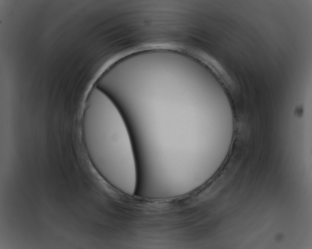 X0000101951236200807171126