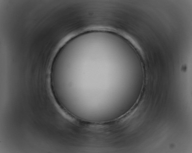 X0000101951237200807171126