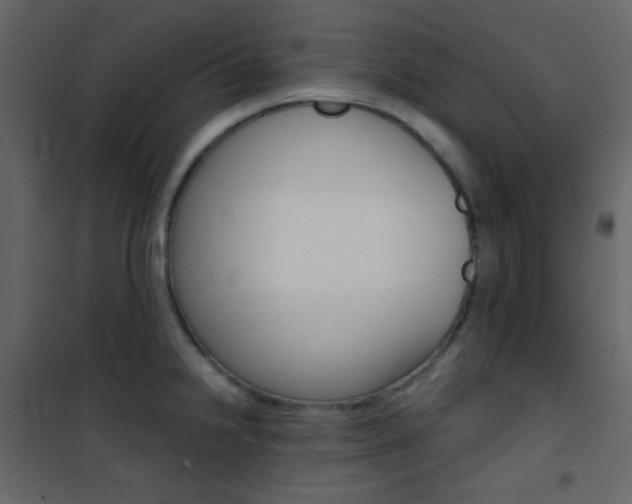 X0000101951238200807171126