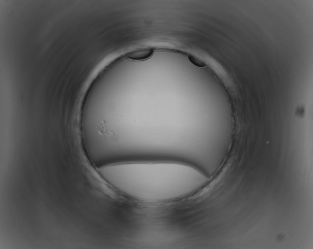 X0000101951240200807171126