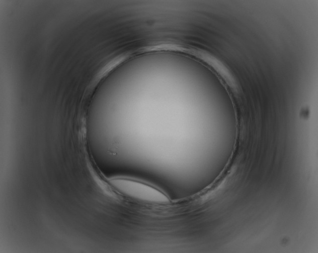 X0000101951241200807171126