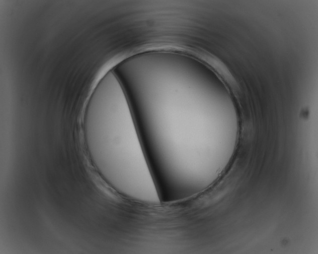 X0000101951242200807171126