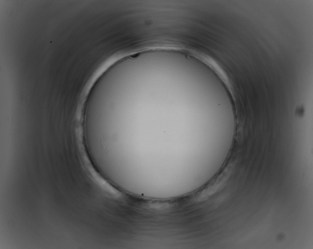 X0000101951243200807171126