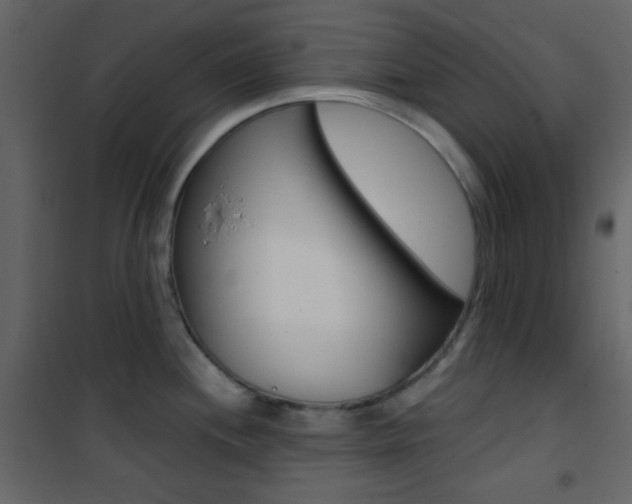 X0000101951244200807171126