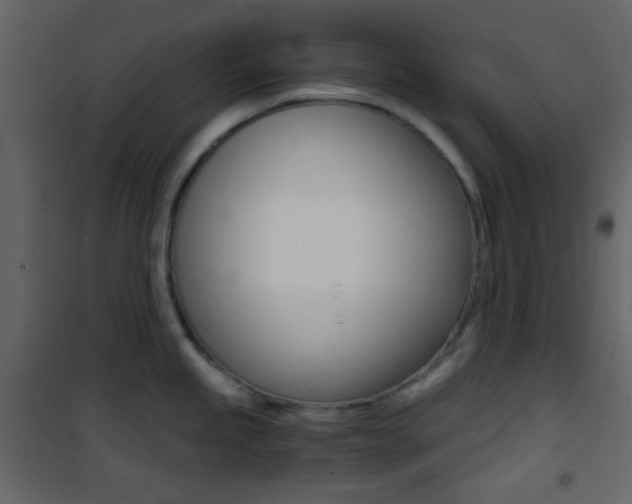 X0000101951245200807171126