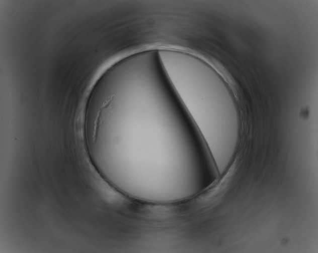 X0000101951246200807171126