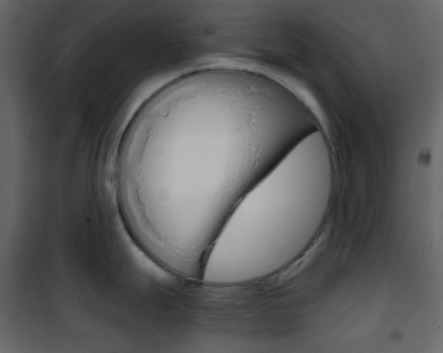 X0000101951247200807171126