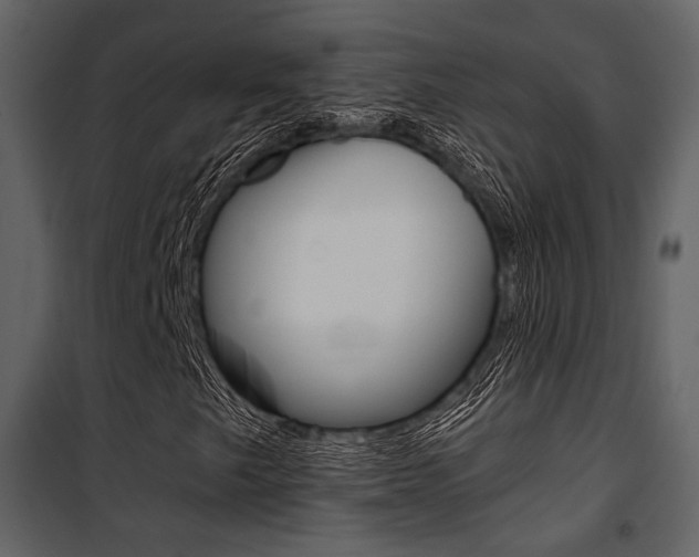 X0000101951249200807171125