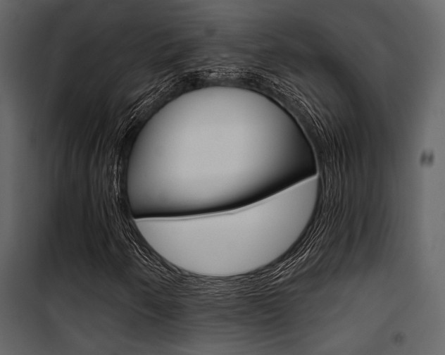 X0000101951250200807171125