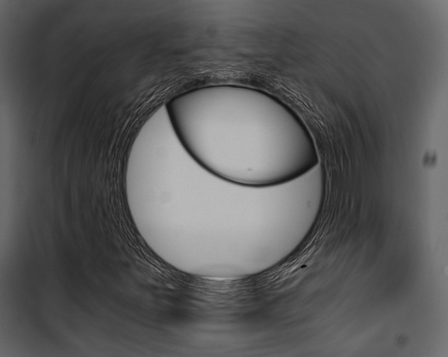 X0000101951251200807171125