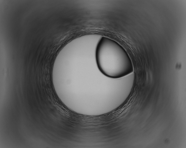 X0000101951252200807171125