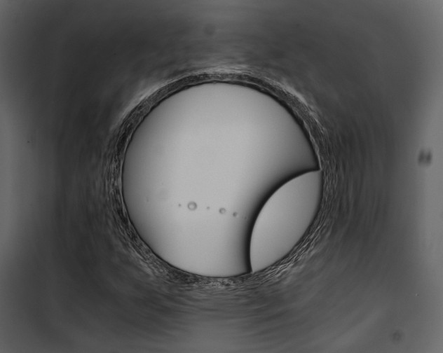 X0000101951255200807171125