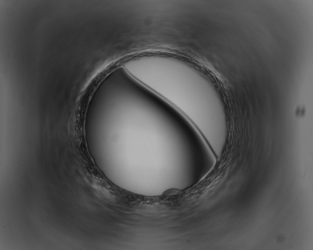 X0000101951256200807171125