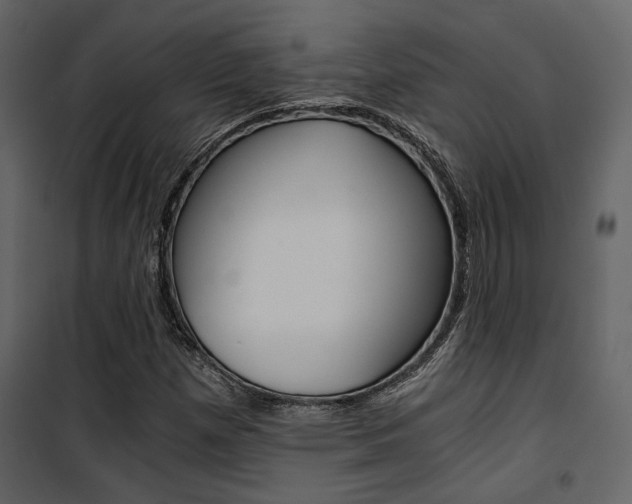 X0000101951257200807171125
