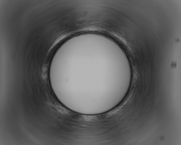 X0000101951258200807171125
