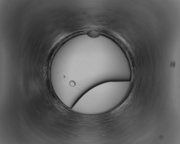 X0000101951259200807171125