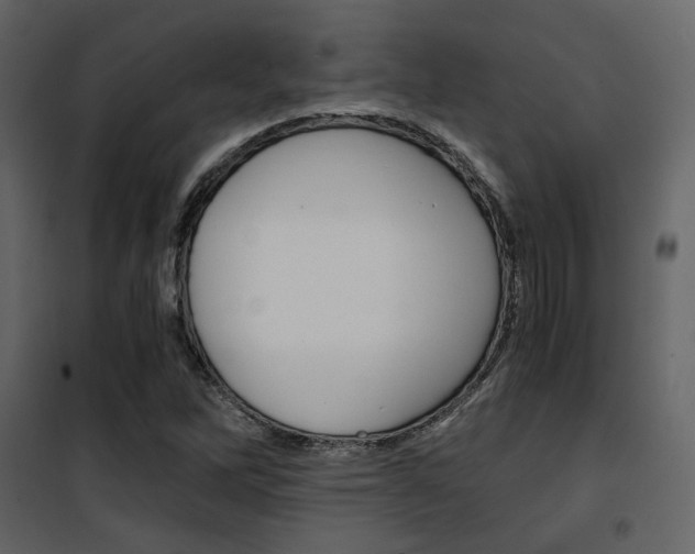 X0000101951262200807171125
