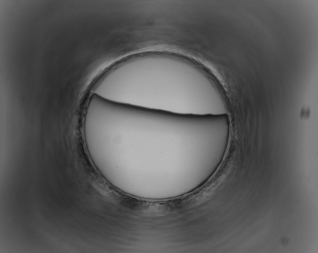 X0000101951263200807171125