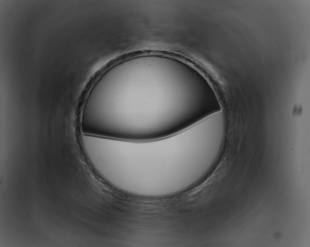 X0000101951264200807171125