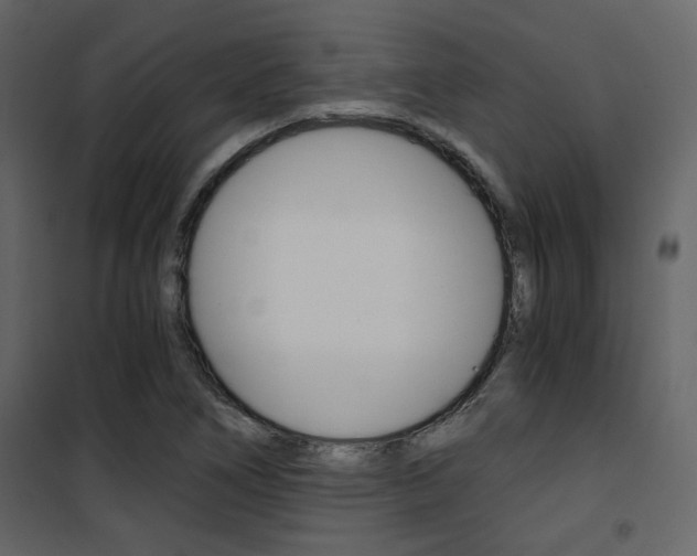 X0000101951266200807171125