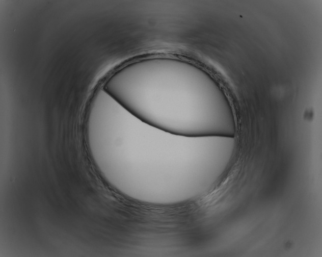 X0000101951267200807171125