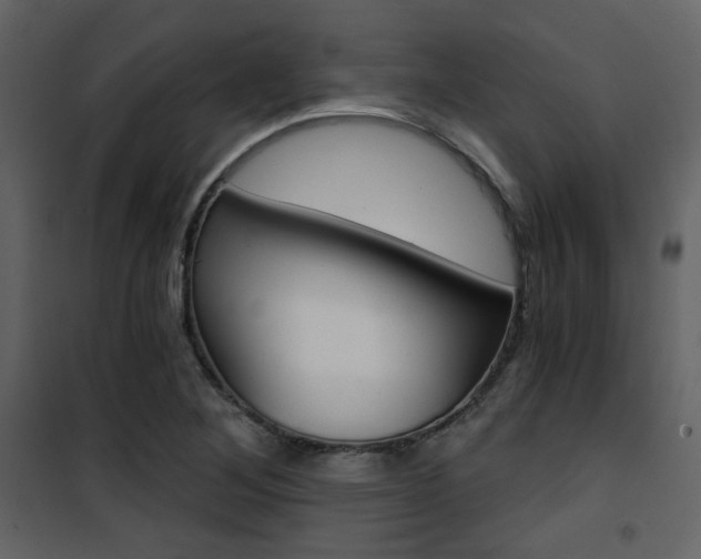 X0000101951268200807171125