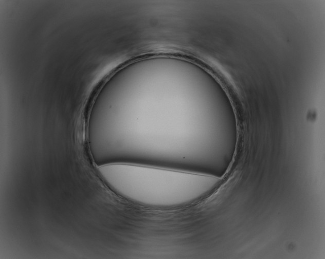 X0000101951269200807171125