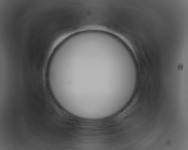 X0000101951271200807171125