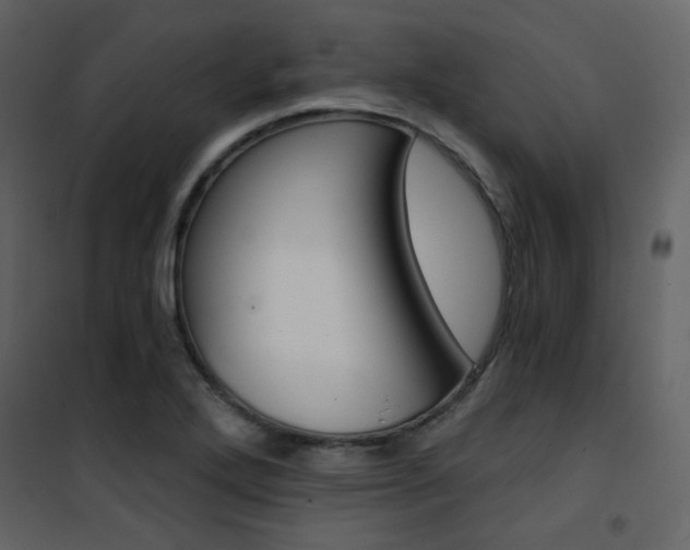 X0000101951272200807171125