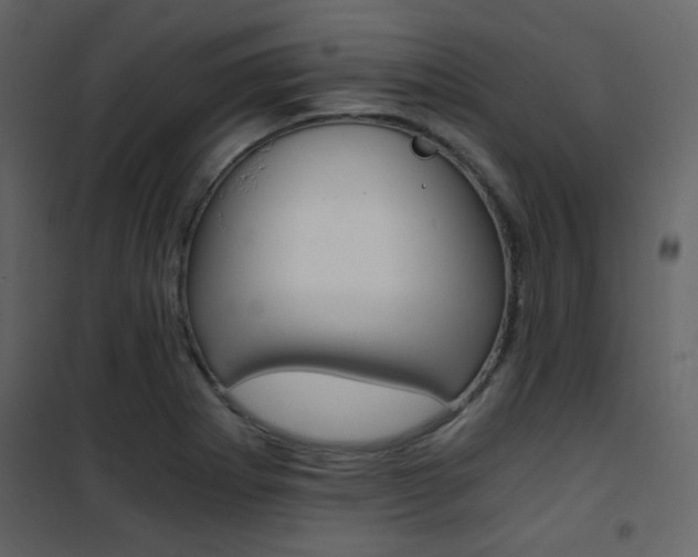X0000101951273200807171125