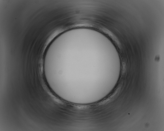 X0000101951274200807171125