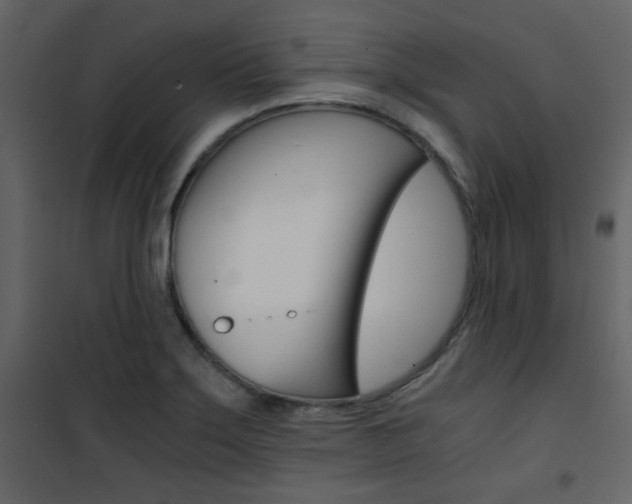 X0000101951275200807171125