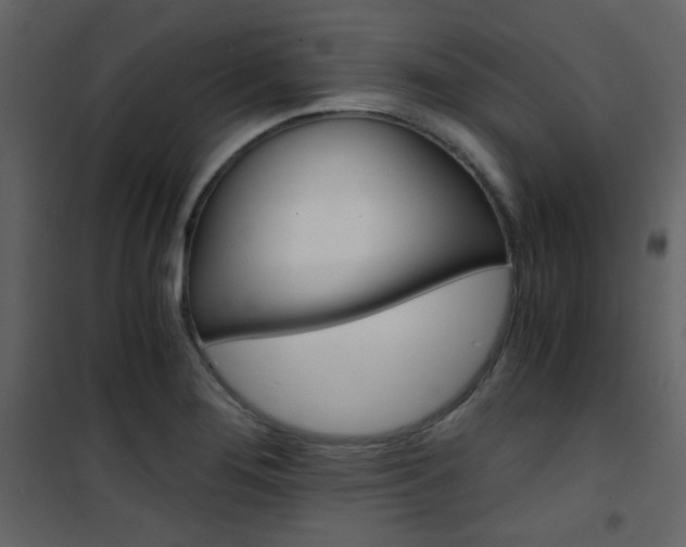 X0000101951276200807171125