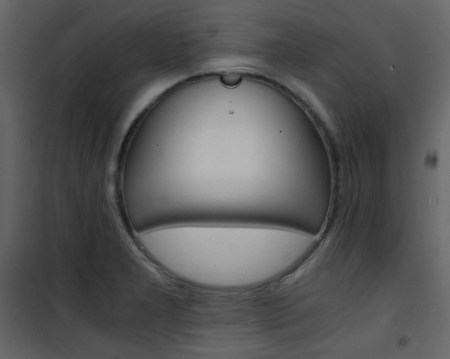 X0000101951277200807171125