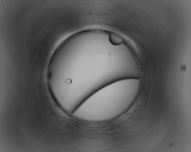 X0000101951279200807171125