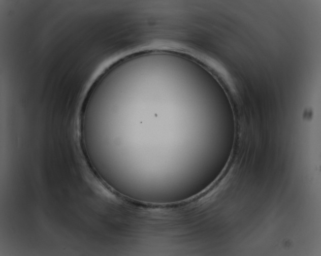 X0000101951280200807171125