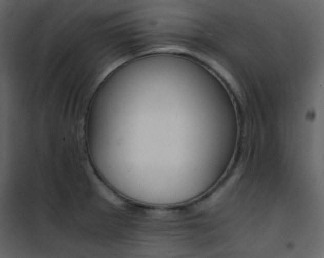 X0000101951281200807171125