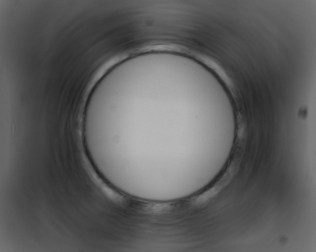 X0000101951282200807171125