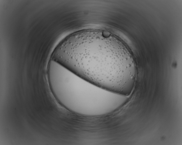 X0000101951283200807171125