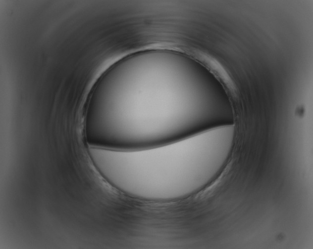 X0000101951284200807171125