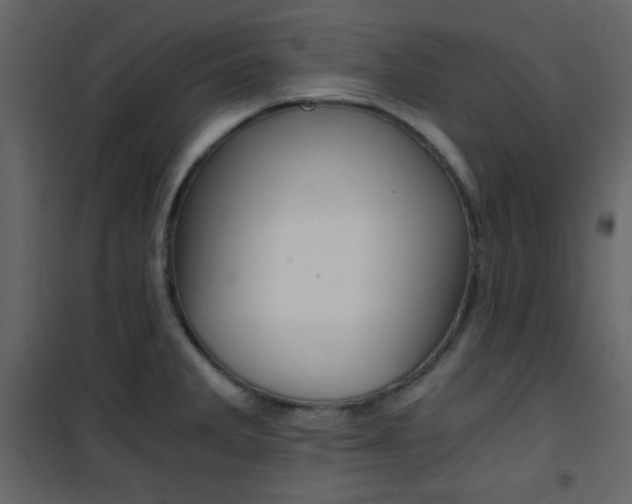 X0000101951285200807171125