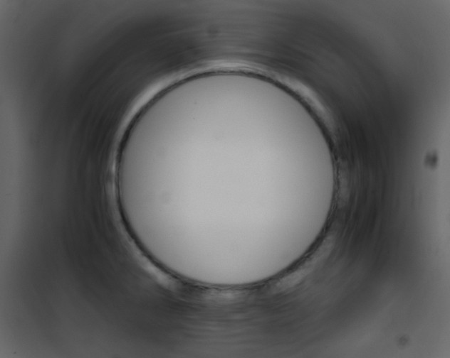 X0000101951286200807171125