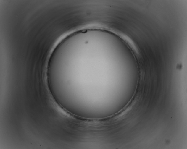 X0000101951288200807171125